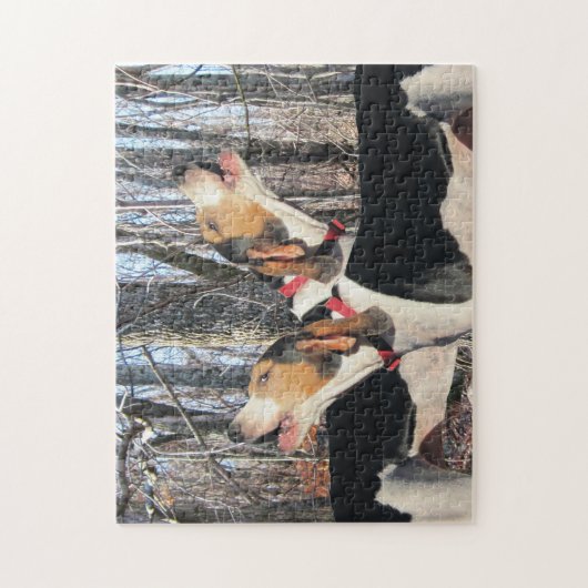Howling Treeing Walker Coonhounds Legpuzzel (Verticaal)