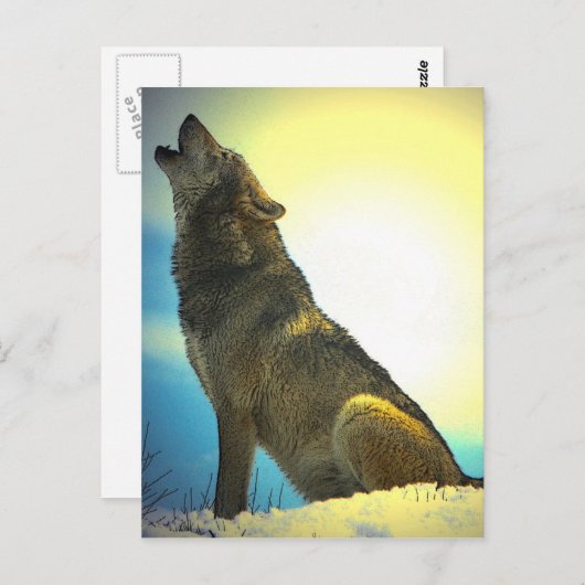 Howling Wolf bij Sunset Briefkaart (Voorkant / Achterkant)