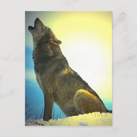 Howling Wolf bij Sunset Briefkaart (Voorkant)