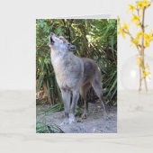 Howling Wolf Birthday Kaart (Gele Bloem)