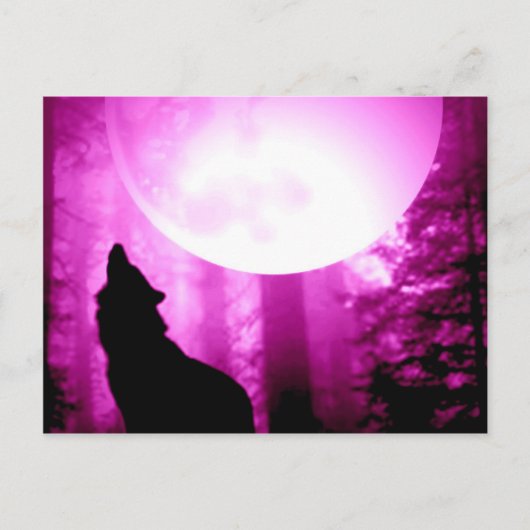 Howling Wolf Briefkaart (Voorkant)
