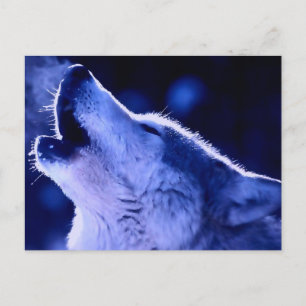 Howling Wolf Briefkaart