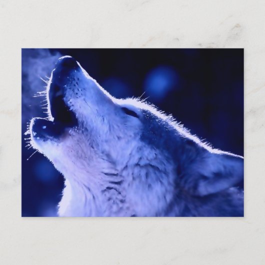 Howling Wolf Briefkaart (Voorkant)
