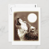 Howling Wolf Briefkaart (Voorkant / Achterkant)
