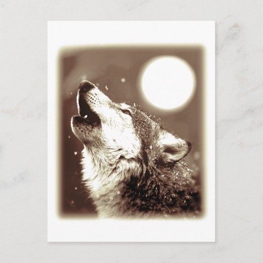 Howling Wolf Briefkaart (Voorkant)