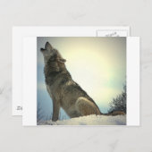 Howling Wolf Briefkaart (Voorkant / Achterkant)