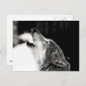 Howling Wolf Briefkaart (Voorkant / Achterkant)