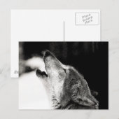 Howling Wolf Briefkaart (Voorkant / Achterkant)