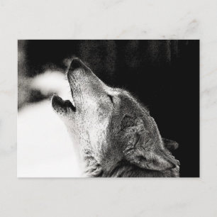 Howling Wolf Briefkaart