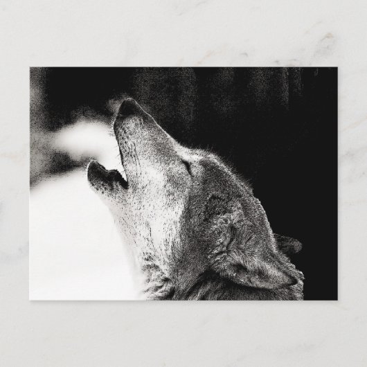 Howling Wolf Briefkaart (Voorkant)