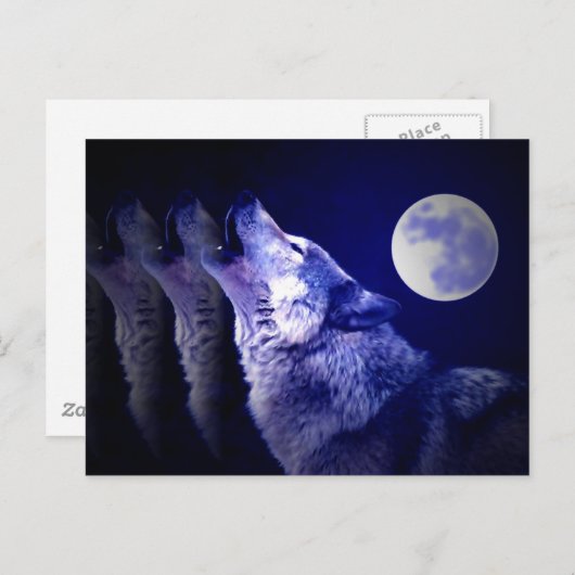 Howling Wolf Briefkaart (Voorkant / Achterkant)