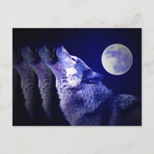 Howling Wolf Briefkaart