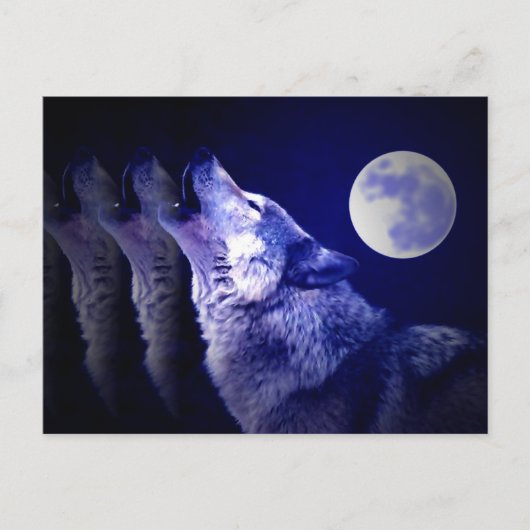 Howling Wolf Briefkaart (Voorkant)