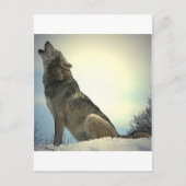 Howling Wolf Briefkaart (Voorkant)