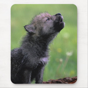 Howling Wolf Cub Muismat