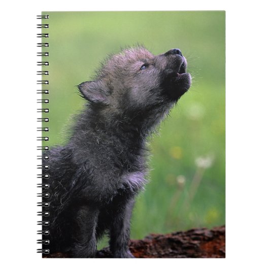 Howling Wolf Cub Notitieboek (Voorkant)