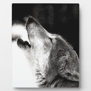 Howling Wolf Fotoplaat