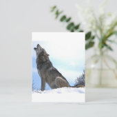 Howling Wolf in sneeuw Briefkaart (Staand voorkant)