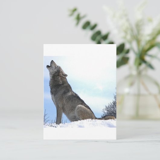Howling Wolf in sneeuw Briefkaart (Staand voorkant)