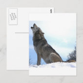 Howling Wolf in sneeuw Briefkaart (Voorkant / Achterkant)