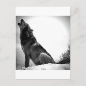 Howling Wolf in sneeuw Briefkaart (Voorkant)
