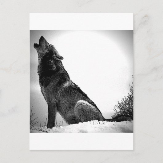 Howling Wolf in sneeuw Briefkaart (Voorkant)