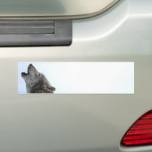 Howling Wolf in sneeuw Bumpersticker (Op auto)