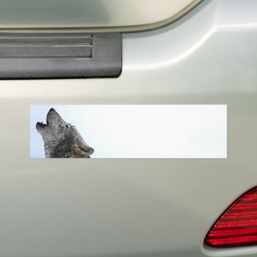 Howling Wolf in sneeuw Bumpersticker (Op auto)