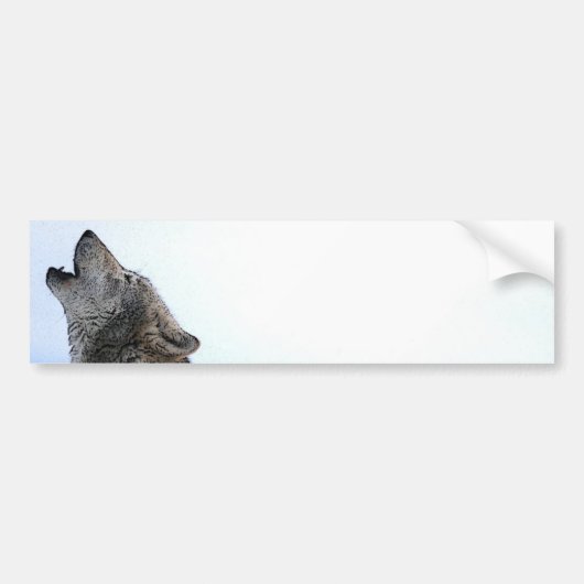 Howling Wolf in sneeuw Bumpersticker (Voorkant)