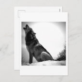 Howling Wolf in sneeuw Feestdagenkaart (Voorkant / Achterkant)