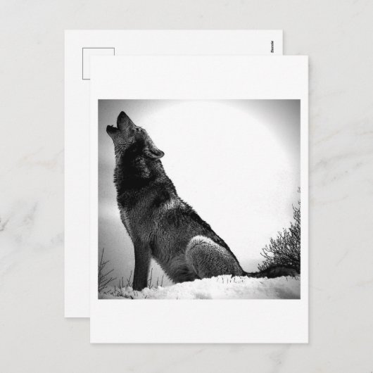 Howling Wolf in sneeuw Feestdagenkaart (Voorkant / Achterkant)