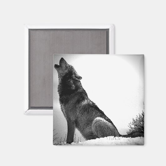 Howling Wolf in sneeuw Magneet (Voorkant / Achterkant)