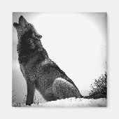 Howling Wolf in sneeuw Magneet (Voorkant)