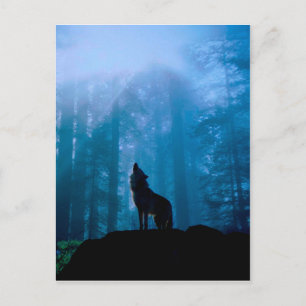 Howling Wolf in Wilderness Briefkaart