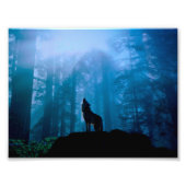 Howling Wolf in Wilderness Foto Afdruk (Voorkant)