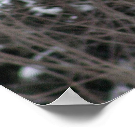 Howling Wolf in Winter Poster (Hoek)