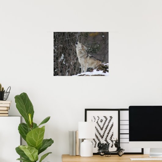 Howling Wolf in Winter Poster (Thuiskantoor)