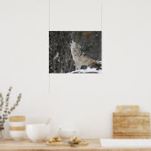 Howling Wolf in Winter Poster (Keuken)