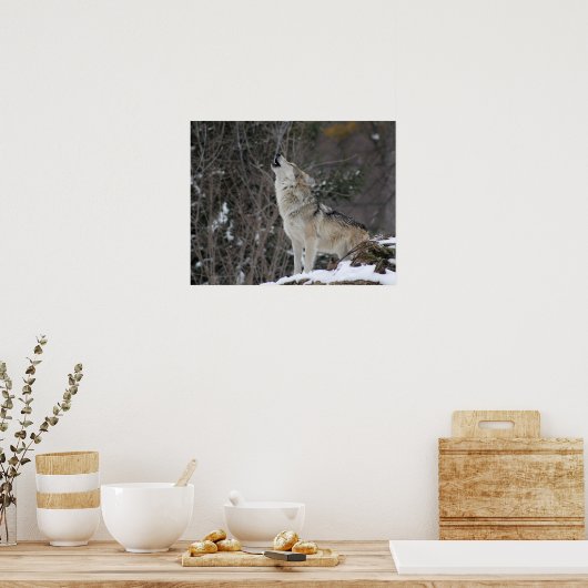 Howling Wolf in Winter Poster (Keuken)