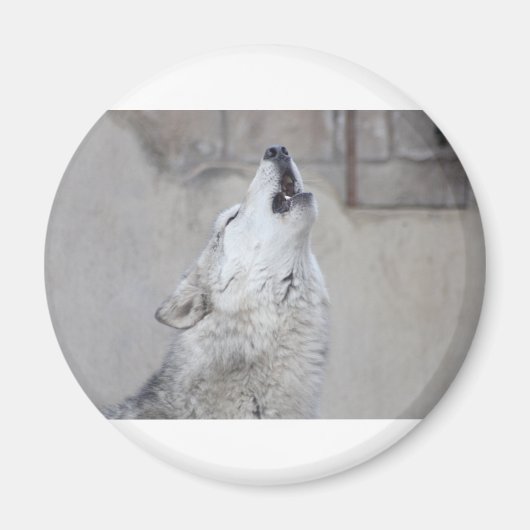 Howling Wolf Magneet (Voorkant)