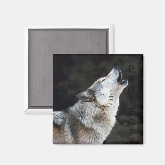 Howling Wolf Magneet (Voorkant / Achterkant)