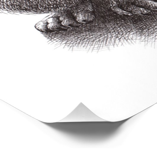 Howling Wolf ontmoet Singls Owls Poster (Hoek)