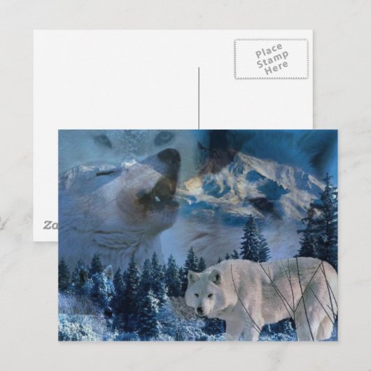 Howling Wolf Pack Briefkaart (Voorkant / Achterkant)