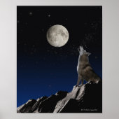 Howling Wolf Poster (Voorkant)