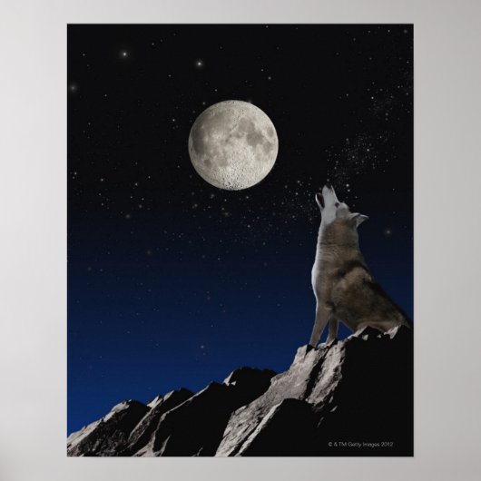 Howling Wolf Poster (Voorkant)