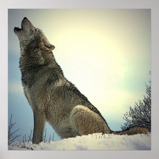 Howling Wolf Poster Print (Voorkant)