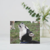 howly briefkaart (Staand voorkant)