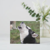 howly briefkaart (Staand voorkant)