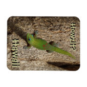 Howzit Hawaii gecko tropische rechthoekmagnet Magneet (Horizontaal)