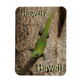 Howzit Hawaii gecko tropische rechthoekmagnet Magneet